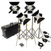 Lowel Omni 4 Kit w/ Omni Case 01-86Z