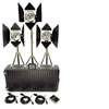 Lowel DP 3 Kit w/ Multi Case MCSEM