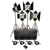 Lowel DP 4 Kit w/ Multi Case MCSEM