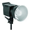 Studio Lighting System 320 Watt AC/DC Mono Light