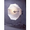 Plume 2 Meter Jumbrella Translucent