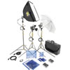 Lowel DV Core 500 Kit