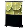 Draper Traveller 50" NTSC Portable Screen - Matte White