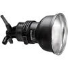 Profoto AcuteB Head w/Zoom Reflector, Uncoated Glass Cover for Acute Only