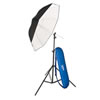 Lastolite Umbrella Kit 72cm + Stand and 2402 Tilthead
