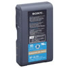 Sony BPGL95A Large Capacity Lithium Battery