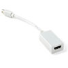 TechCraft Mini DisplayPort M to HDMI F Adapter