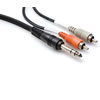 HOSA Stereo 1/4" Phone Two RCA, 2m