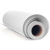 Epson 13" x 20' Exhibition Canvas Gloss Roll