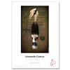 Hahnemuhle 24"x39' Leonardo Gloss Canvas 390 gsm 2" core Roll