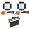 LED Go 2 x LG-600S LED Lights 5600K with Hard Case