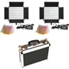 LED Go 2 X LG-900S LED Lights 5600K with Hard Case