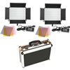 LED Go 2 X LG-1200CP LED Lights Bi-Colour with Hard Case