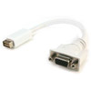 Cables Mini DVI Male to VGA Female Adapter