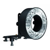 Profoto ProRing2 Plus w/Modeling Light (200 Watt)