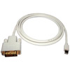TechCraft 10' MiniDisplayPort to DVI M/M