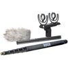 Rode Microphones Boom Pole w/ SM4 Boom Pole, Shock Mount and Dead Cat & NTG-2 Microphone