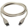TechCraft 6' USB 2.0 Cable - A to B