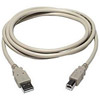 TechCraft 10' USB 2.0 Cable - A to B