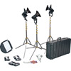 Lowel Pro LED 3 Light AC Kit Daylight Color Kit