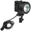 Lowel Pro Light Tungsten Focus Flood Light