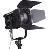 LED Go LG-D1200M LED Fresnel Light 5600K with DMX/WiFi and Bag