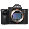 Sony Alpha A7RIII Mirrorless Body