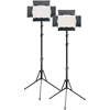 LED Go 2 x LG-B560II LED Light 5600K with2 x Stands, 2 x AC Power Supply, 2 x Battery/Charger ,Case